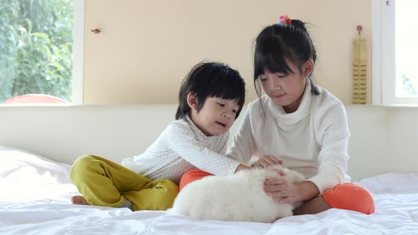 Cute Asian Children Playing With Puppy On Bed