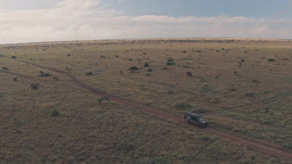 Elephant sighting while on wildlife safari holiday in Laikipia, Kenya. Aerial drone view