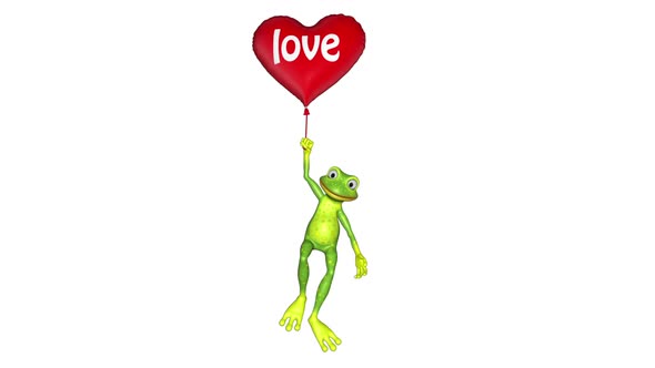 Frog Flies Heart Balloon Looped White Background