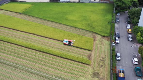 Aerial drone footage Cultivated rice paddy field, farmer harvesting the crops with multifunctional p