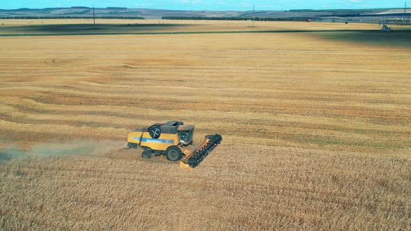 Agricultural Combine Is Reaping Rye in the Field