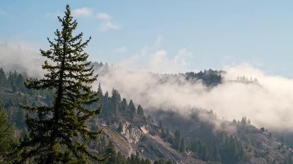 Timelapse of foggy clouds blowing off the mountain in Jackson Canyon