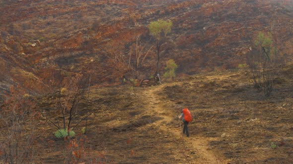 Hiker follows trail through rocky, fire damaged area, Central Australia