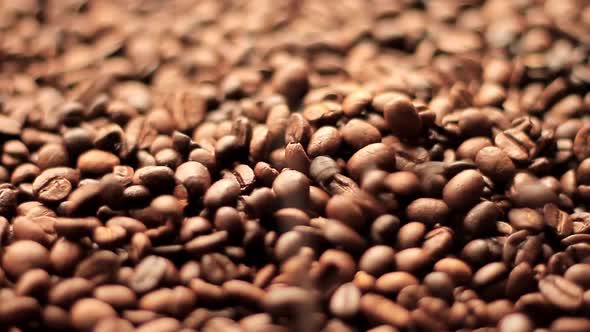 roasted brown coffee beans in a heap stock video