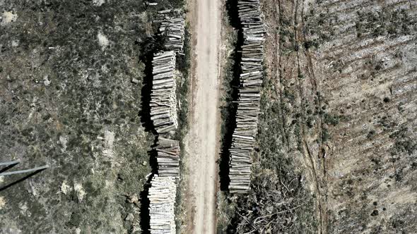 Deforestation as environmental destruction of earth, aerial view