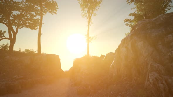 Trees on Rocks in Mountains at Sunset alt