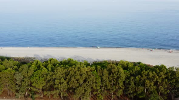 Aerial view of Calabria Beach with Pine Forest