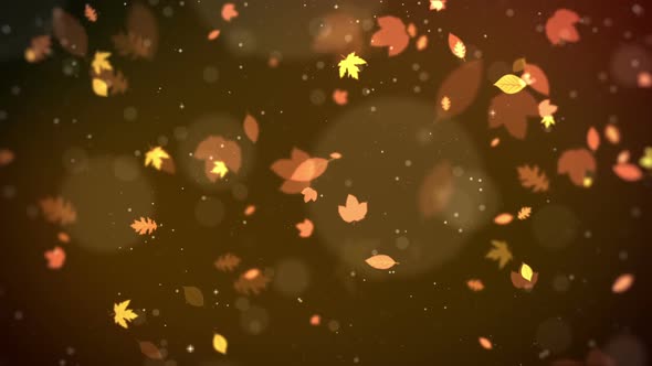 Autumn Leaf Background