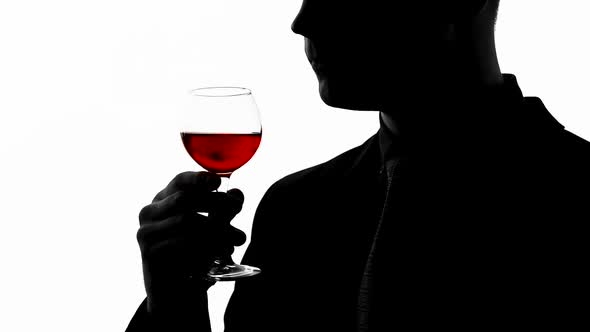 Professional Sommelier Tasting Expensive Alcoholic Beverage, Man Drinking Cognac