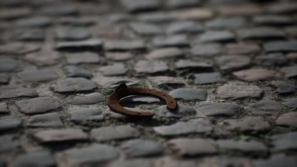 One Old Rusty Metal Horseshoe