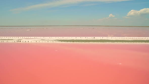 Aerial view of salt sea water evaporation ponds with pink plankton color