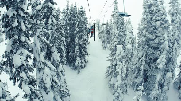 Picturesque Winter Mountains Chairlift Ride In Snowy Trees