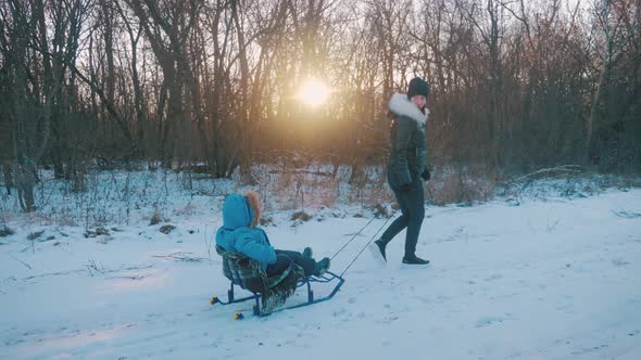 Mom Is Carrying a Child on a Sled Over the Snow-covered Forest. Cheerful Winter Vacation Concept