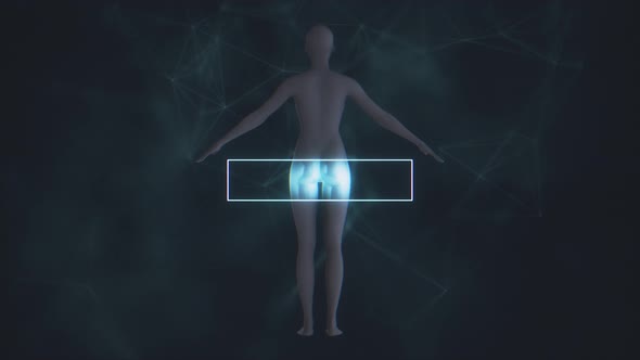 X-Ray Female Body Scan 4K