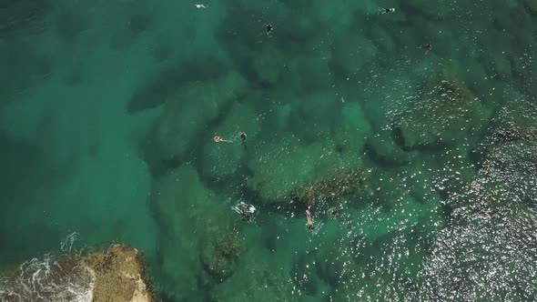 Overhead view of swimmers enjoying the clear water at Sharks cove 3
