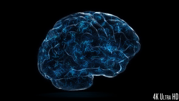 4K Digital Technology of a Human Brain Concept