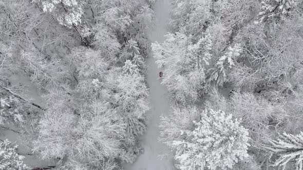 3 People Walking Beautiful Snow Forest in Winter Aerial View