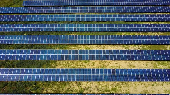 Solar Energy Panels in Field