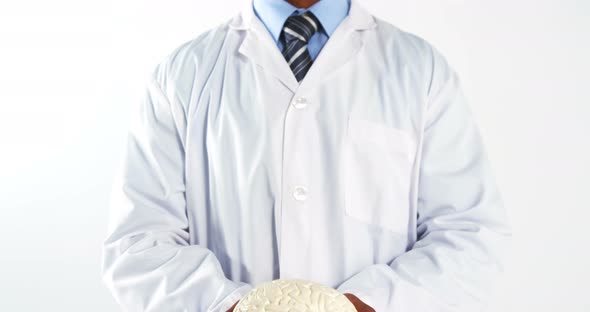 Mid section of doctor holding human brain model