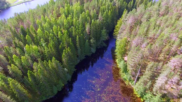 Aerial pull back video of a Finnish coniferous forest, bog and lake.