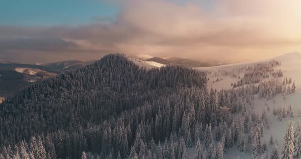 Aerial View of Sunny Snowy Carpathian Mountains on Active Winter Holidays in Bukovel