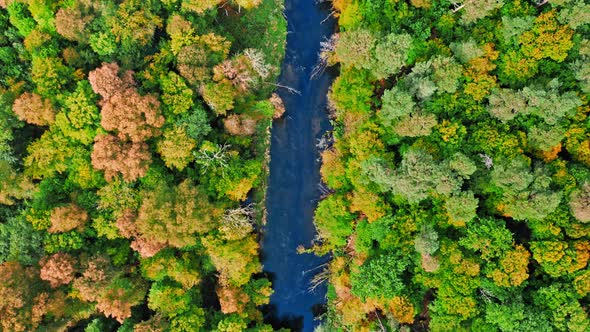 Flying above autumn forest and river, Poland