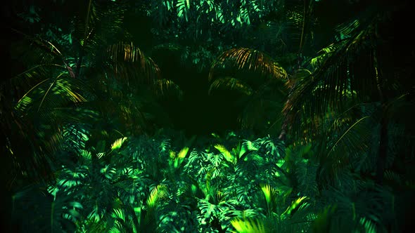 Adventure In Jungle Summer 01 4K alt