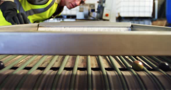 Worker checking olive in machine