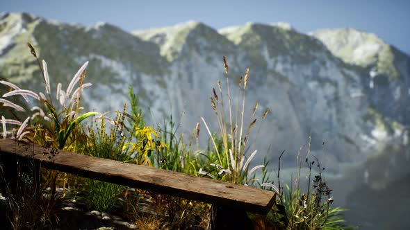 Fresh Grass at Big Rocky Cliff in Ocean