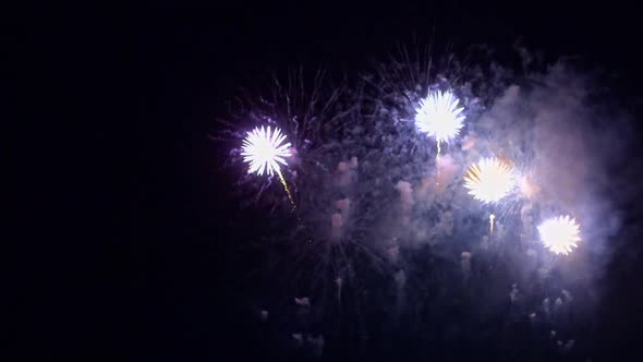 Colorful Firework display at night on sky background