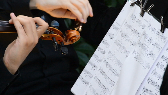 Violins on a Concert