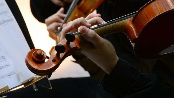 Violins in Action on a Concert