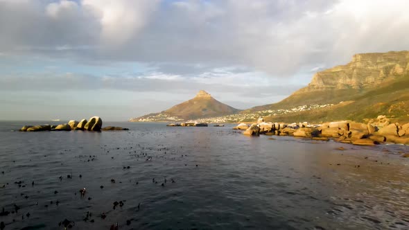 Aerial view of Lion's Head mountain at sunset, Cape Town, South Africa