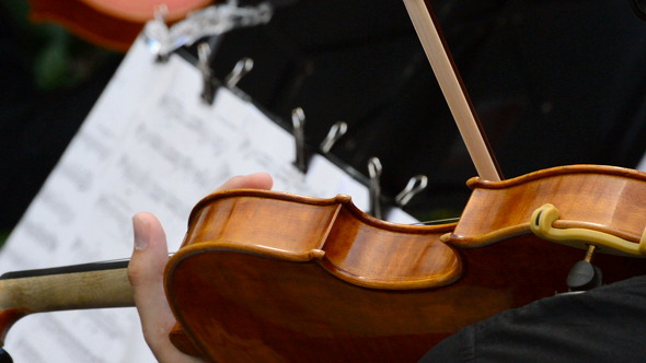 Violing Tuning Before a Concert