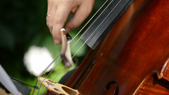 Playing Cello or Violoncello