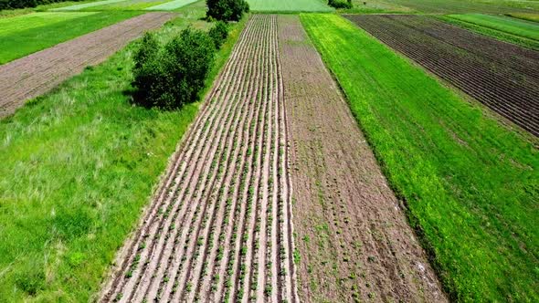 Aerial drone view of a flying over the rural agricultural landscape.