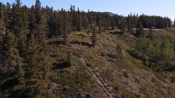 Dry boreal forest on the edge of a steep valley on a sunny day in Alberta, Canada. Fast aerial pull-
