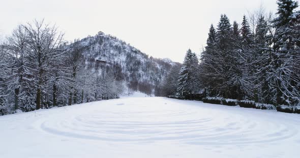 Forward Aerial Over Alpine Mountain Snow Covered Field Near Pine Forest Woods in Overcast Winter