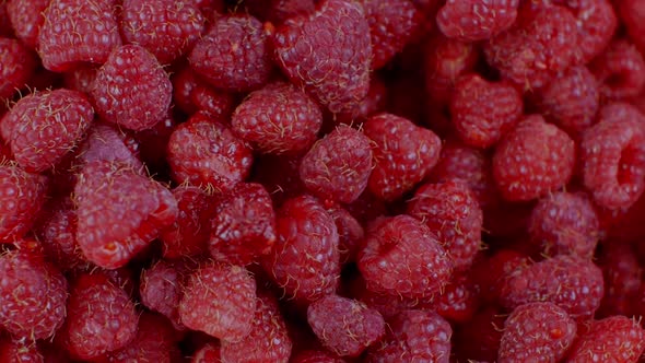 Beautiful Ripe Red Raspberries Closeup