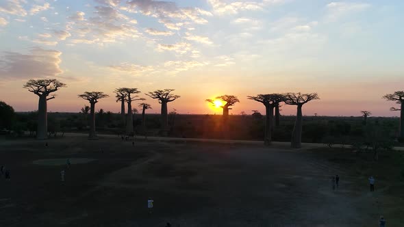 Avenue Of The Baobabs Morondava Madagascar 3