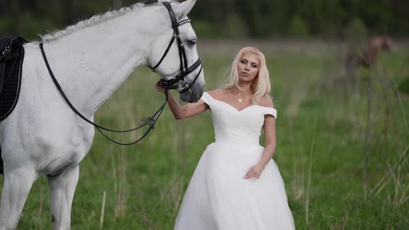 Tender Bride with White Horse in Field Love and Freedom Sexy Blonde Lady