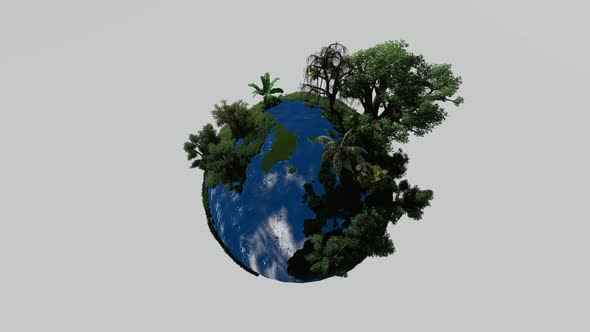 Trees that grow on the earth