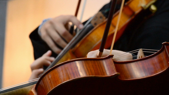 Violins Playing on String Quartet