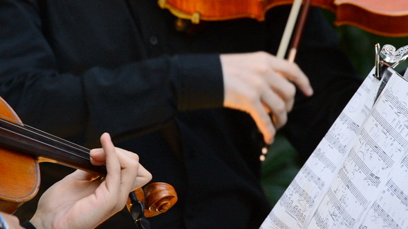 Violins on a Concert Playing