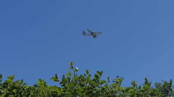 Canadian Airliner Flying Over Plants