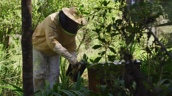 Caucasian male beekeeper in protective clothing using smoker to calm bees in a beehive