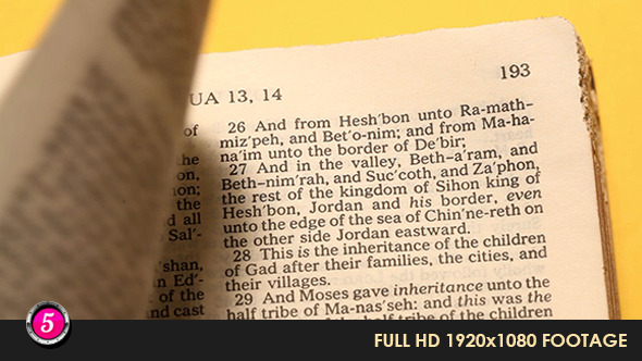 Old Holy Bible 34 