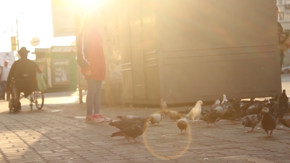 Small Girl Watch The Pigeons