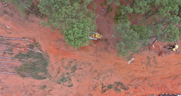 Deforestation Dozer During Preparation of a Construction Site in the New Subdivision