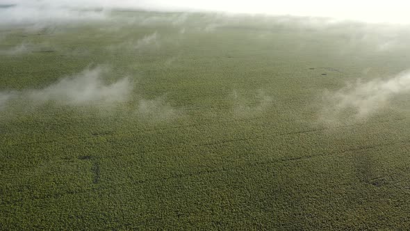 High in the Clouds Above the Field of Agriculture Where Sunflowers are Grown